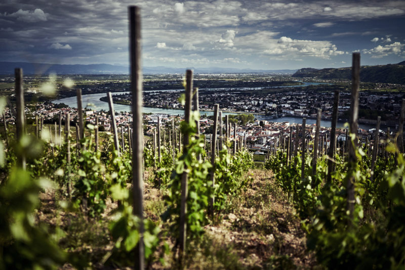 Espace-Vallee-de-la-gastronomie-france