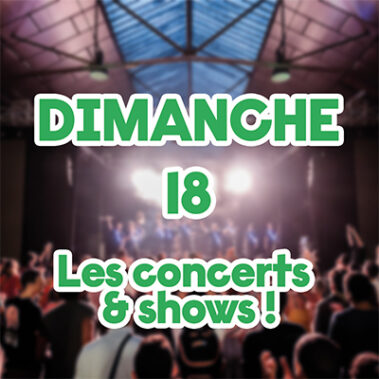 Lyon Street Food Festival 2023 : les concerts du dimanche 18 juin