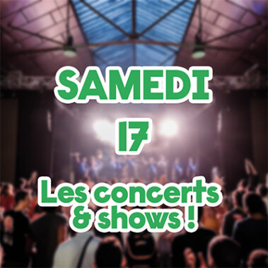 Lyon Street Food Festival 2023 : les concerts du samedi 17 juin