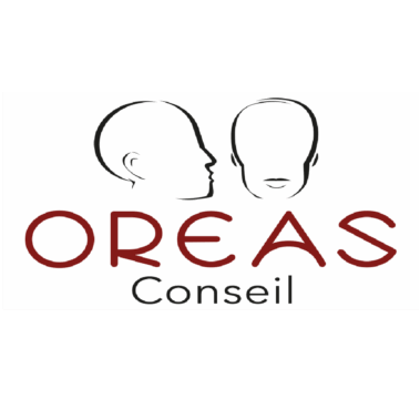 LOGO ORAS CONSEIL